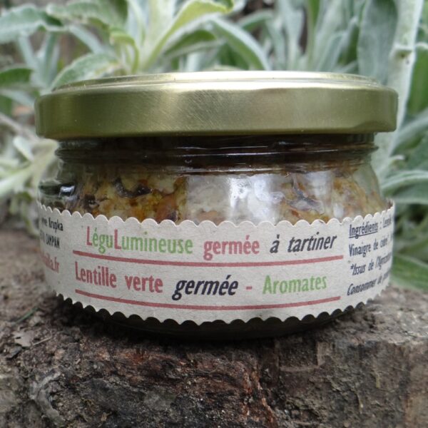 Lentille verte & Aromates 1 Lentille vte aromates