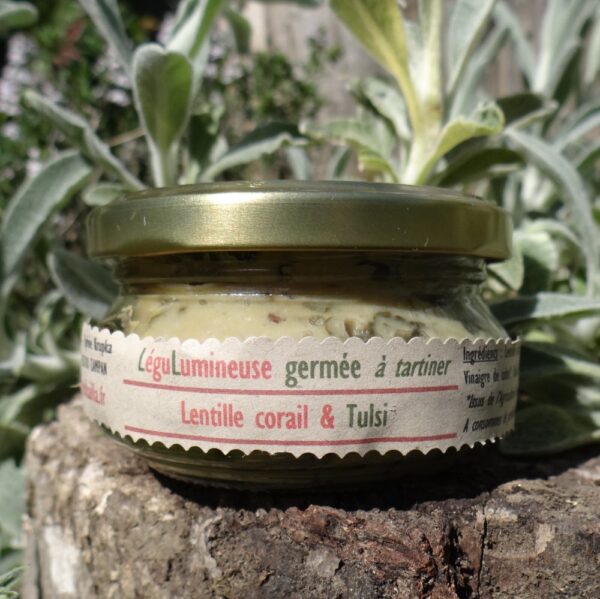 Corail tulsi