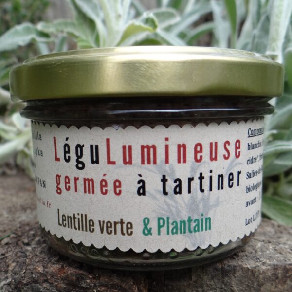Lentille vte plantatin